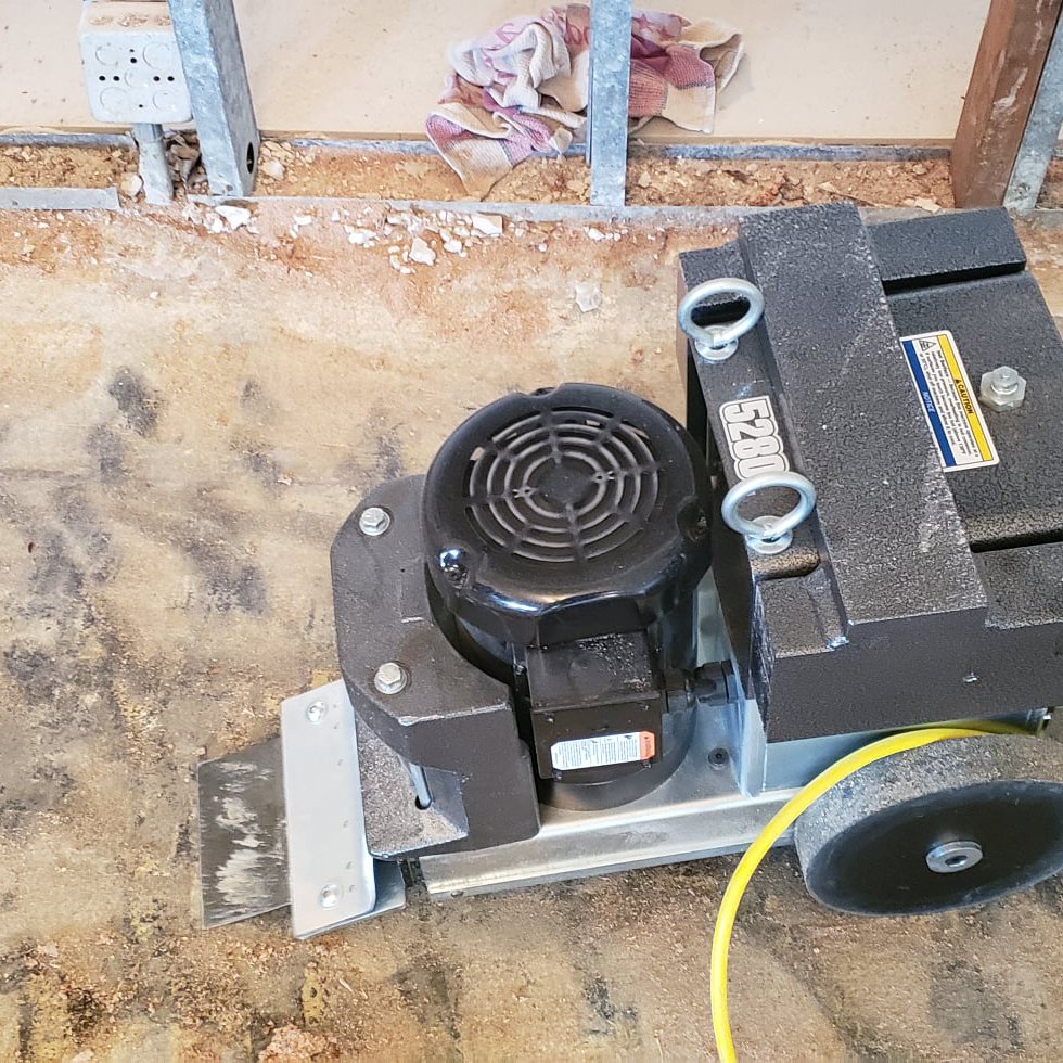 why choose Global Restoration for Expert Mold Removal in Wellington, FL