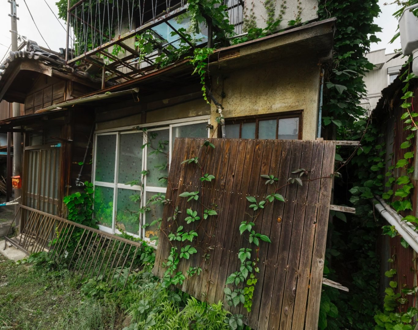 Storm Damage Restoration Near Me